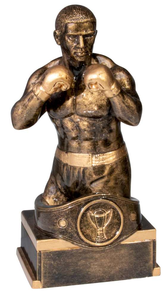 Box Pokal 39733