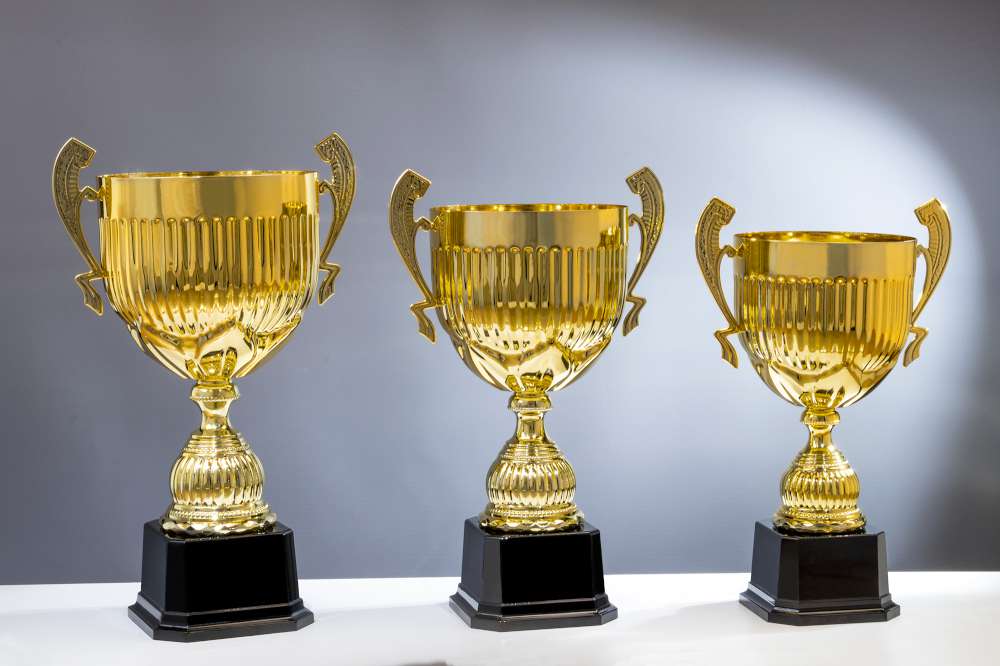 Pokalserie Dobrina gold