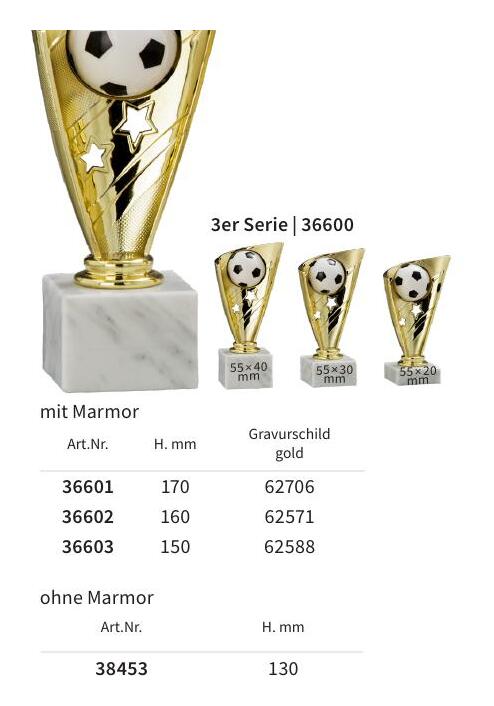 Fußballständer 36601 bis 36602