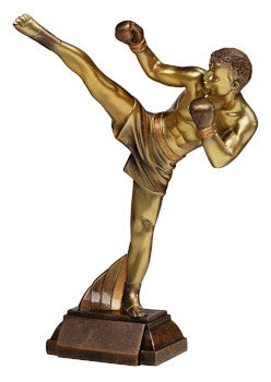 Kickboxen Pokal 39649