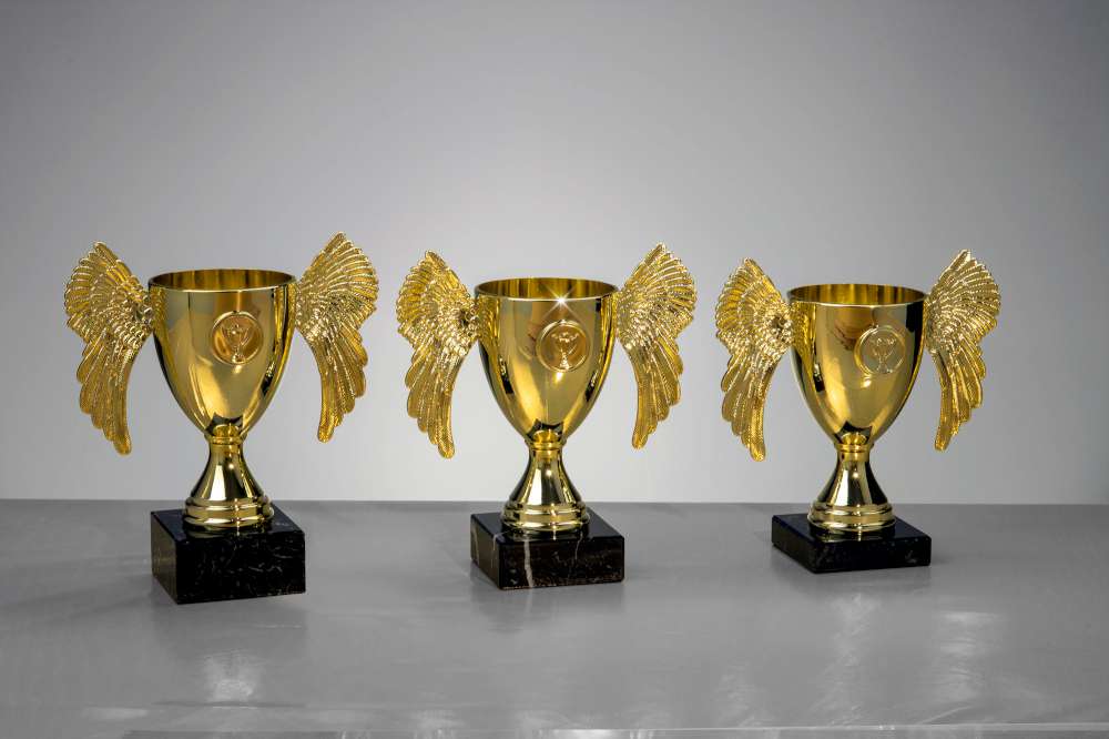 Pokalserie Wing-Cup gold